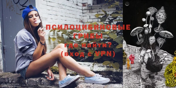 гашик Михайловка