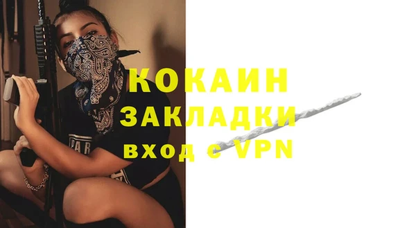 гашик Михайловка