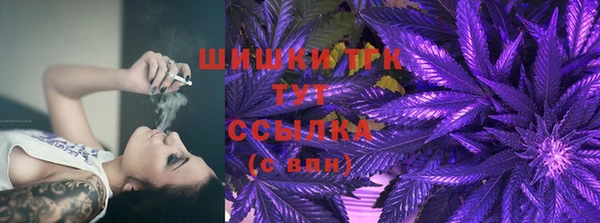 хмурый Михайловск