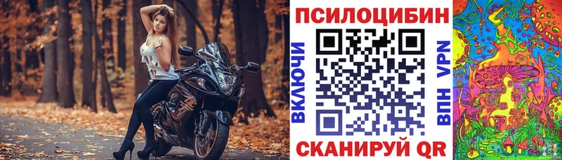 где найти   ссылка на мегу ТОР  Галлюциногенные грибы Cubensis  Людиново 